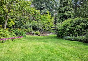 Optimiser l'expérience du jardin à Sancy